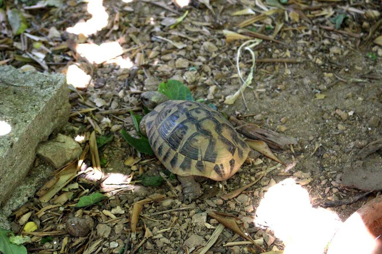Unit