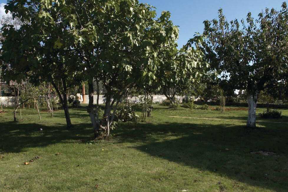 Unit